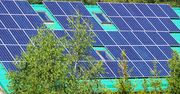 Brakuje miejsca na energię ze słońca. Ale rząd ma plan. Oto liczby