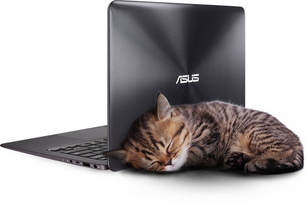 ASUS ZenBook UX305