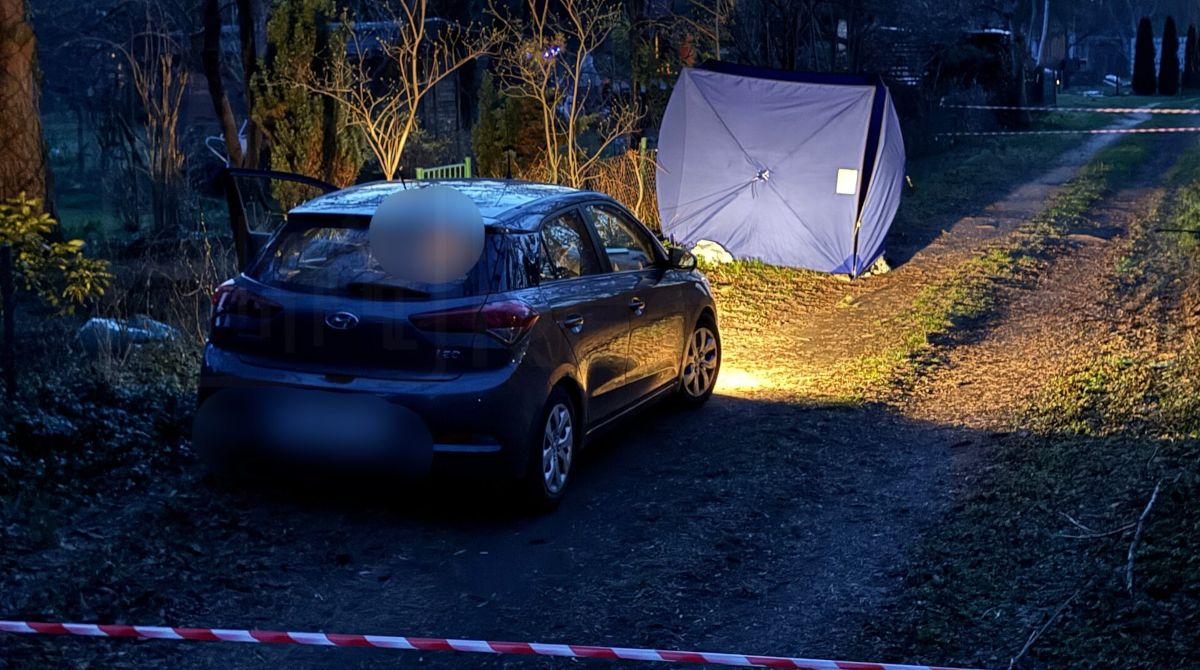 Zwłoki mężczyzny na działkach ROD na Bielanach.
