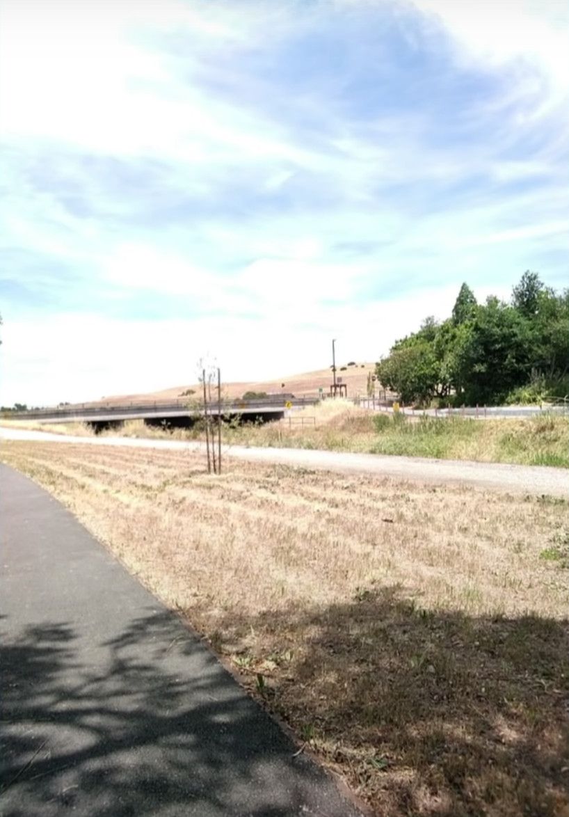 Dobre zdjęcia z telefonów za grosze. Android Go z usprawnioną aplikacją aparatu 6