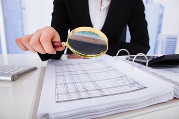 Wściekli Polacy donoszą na sąsiadów. Rekord zgłoszeń do skarbówki