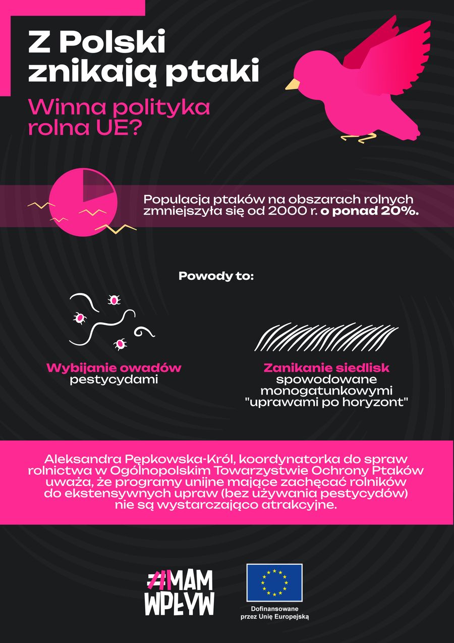 Kurczy się populacja polskich polnych ptaków