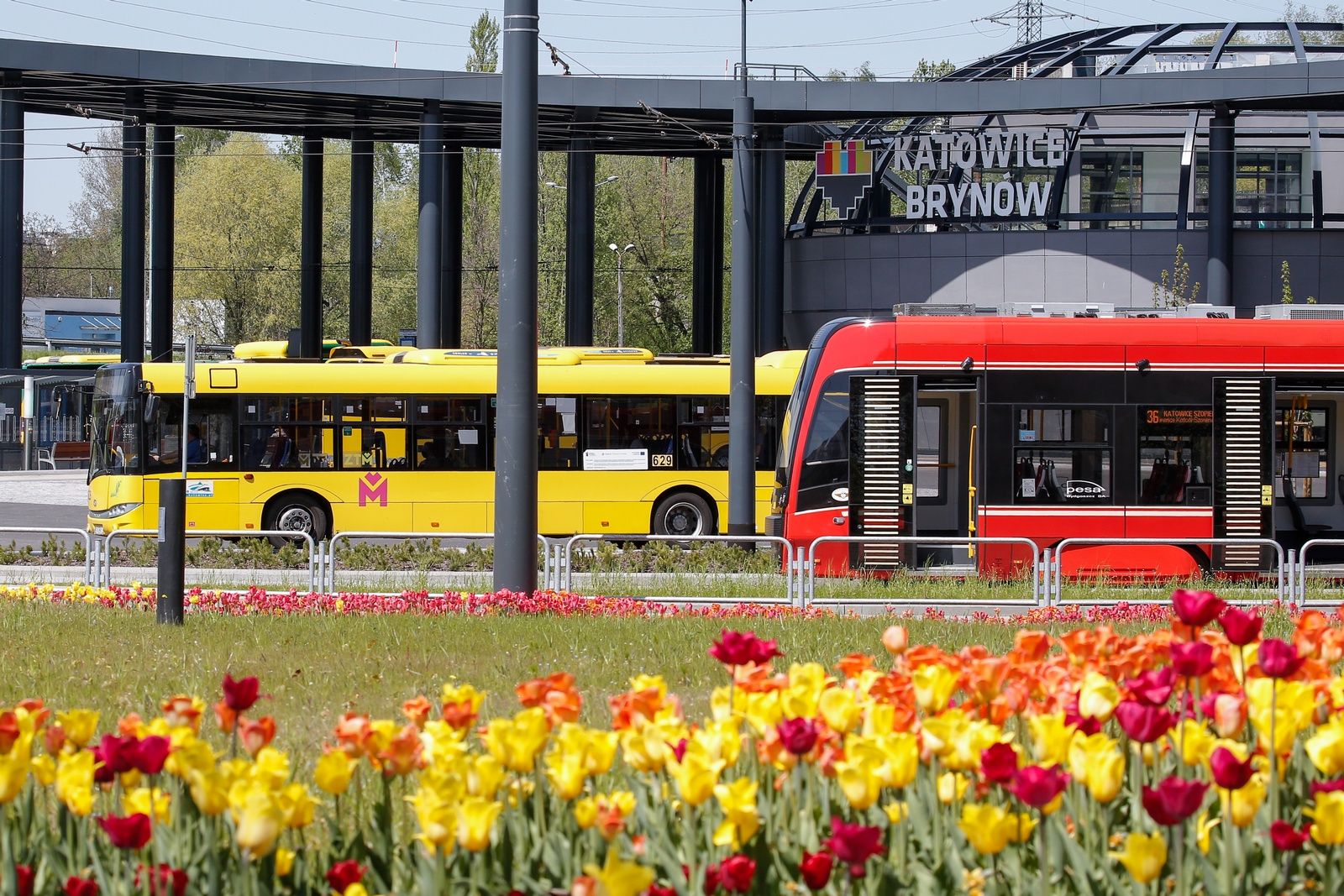 Katowice: Zielona Rewolucja w Mobilności i Transportcie