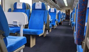 Na co skarżą się pasażerowie pociągów? Opóźnienia to wierzchołek góry lodowej