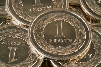 Złoty błyskawicznie reaguje na decyzję RPP. Inwestorzy nie są zachwyceni