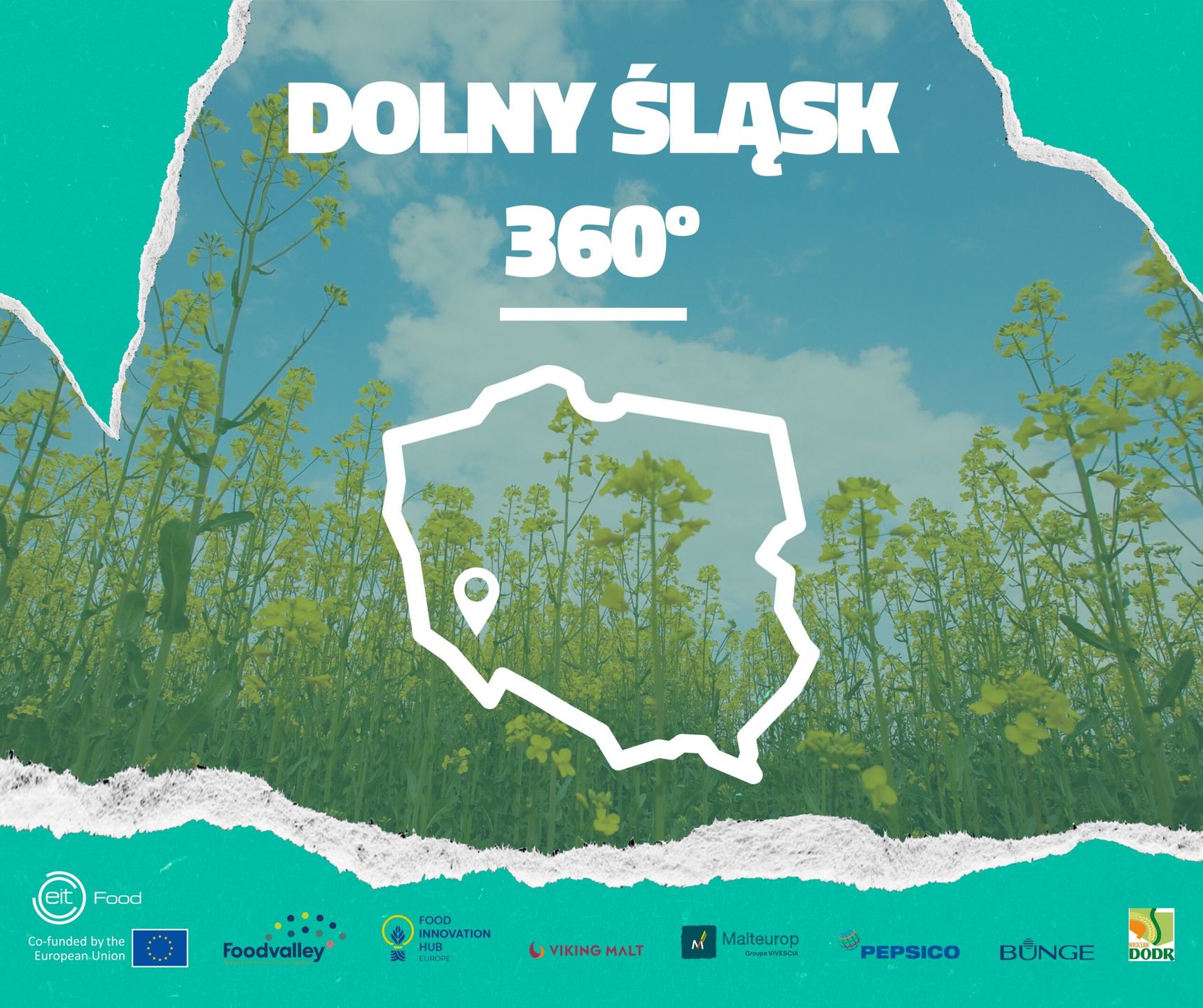 Rolnictwo regeneratywne w praktyce