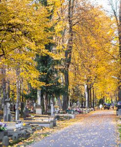 Warszawa. Dodatkowe autobusy i tramwaje zawiozą na cmentarze