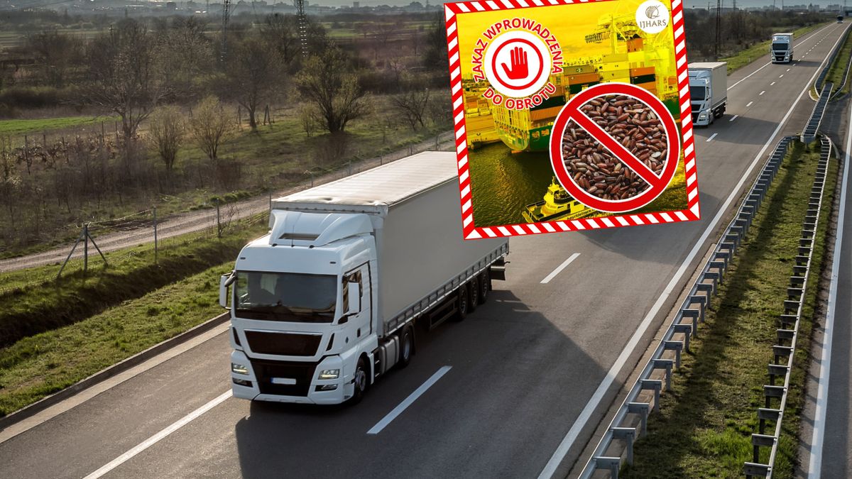 Ryż zatrzymany przez polskie służby. Wykryto poważny błąd