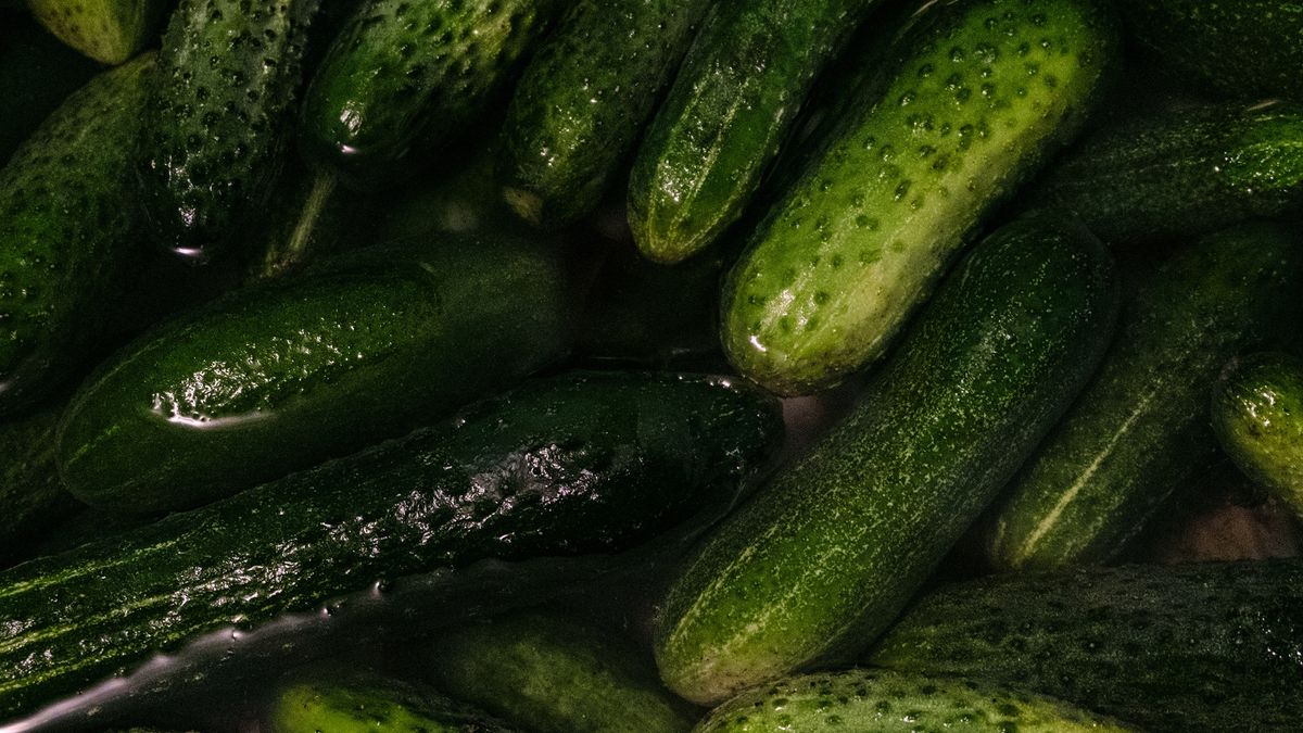 Zalety małosolnych zależą od czasu fermentacji i zawartości soli
