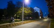 Poznań. Nowe oświetlenie i zieleń poprawiają bezpieczeństwo i estetykę na Naramowicach