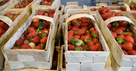 Ceny truskawek w 2021 roku są szokujące. Kilogram tych owoców może słono kosztować
