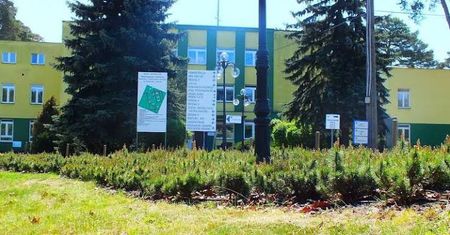 Mazowiecki Szpital Kliniczny coraz bliżej? Pracownicy Zalesia chcą 10 lat gwarancji