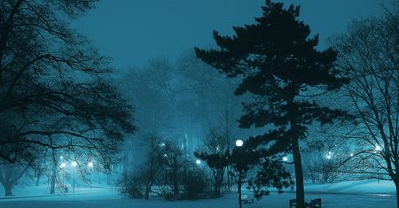 Najkrótszy dzień 2022 roku. Przesilenie zimowe już niebawem