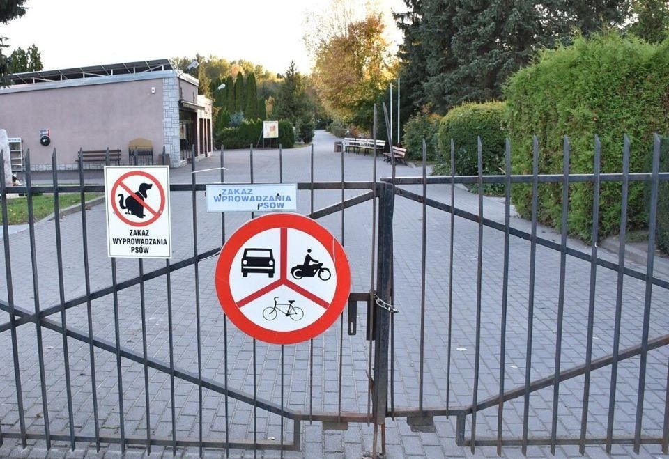 Psy na cmentarzu w Malborku. Zakaz był nielegalny