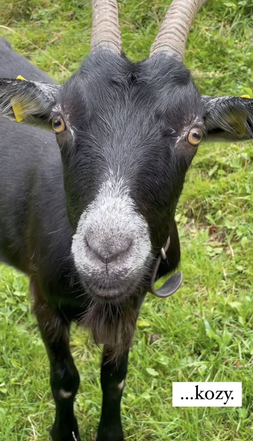 wakacje Aleksandry Kwaśniewskiej i Marty Wierzbickiej
