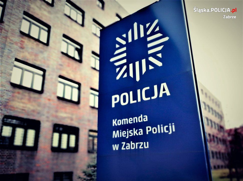 Zabrze. Ranny dzik ranił przechodnia i zaatakował policjantów.