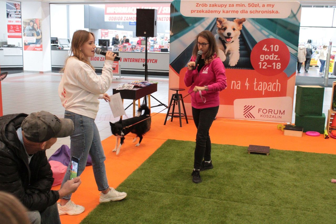 Koszalin: Światowy Dzień Zwierząt. DogoEvent w Forum