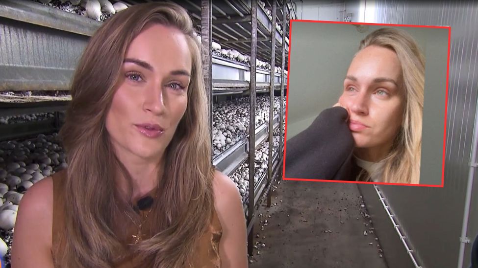 Kamila Boś z "Rolnik szuka żony" mówi, co zastała w pieczarkarni
