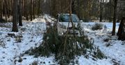 Leśnicy są wstrząśnięci. Od razu zaapelowali. "Nie zbliżać się"
