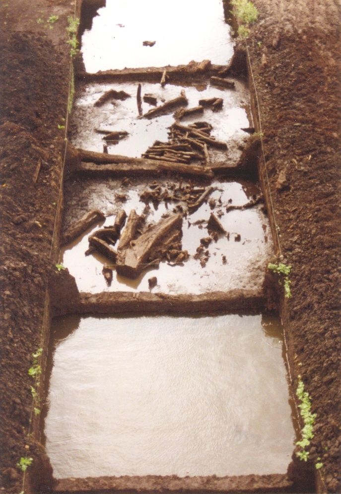 Woda wodę, drewno i układ wykopu archeologów w Żuławce Małej