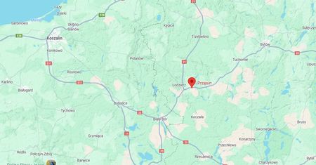 Na drogę wybiegło dzikie zwierzę. W aucie troje dzieci