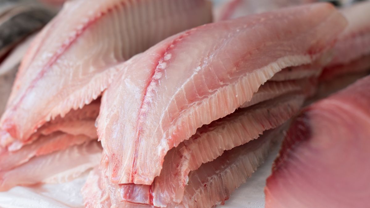 Jest tak smaczna jak łosoś i dorsz, a dużo tańsza. Ma chude mięso i mało ości