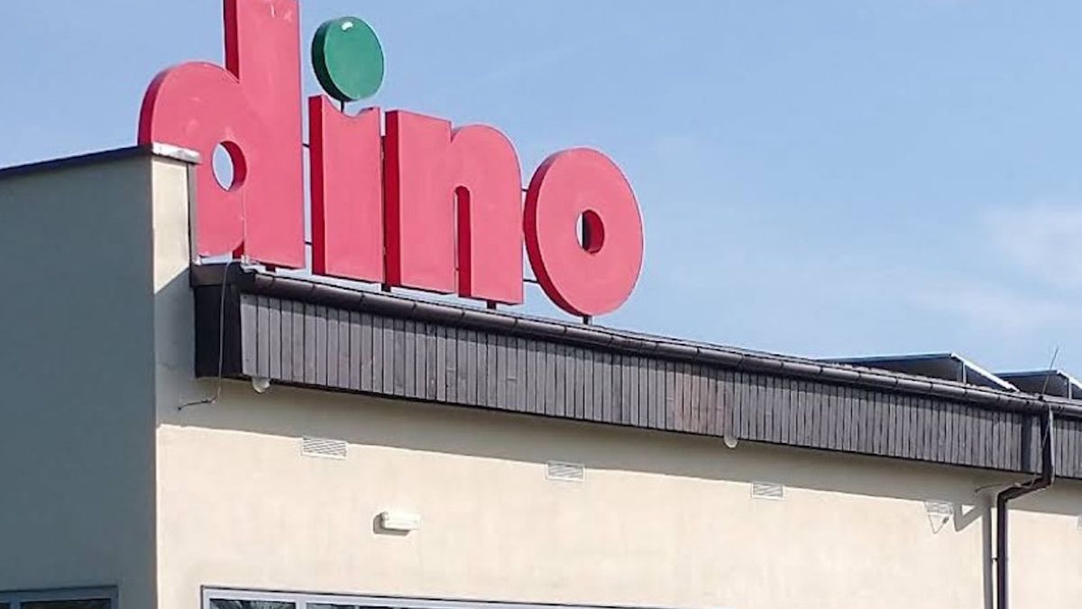 Promocje w Dino
