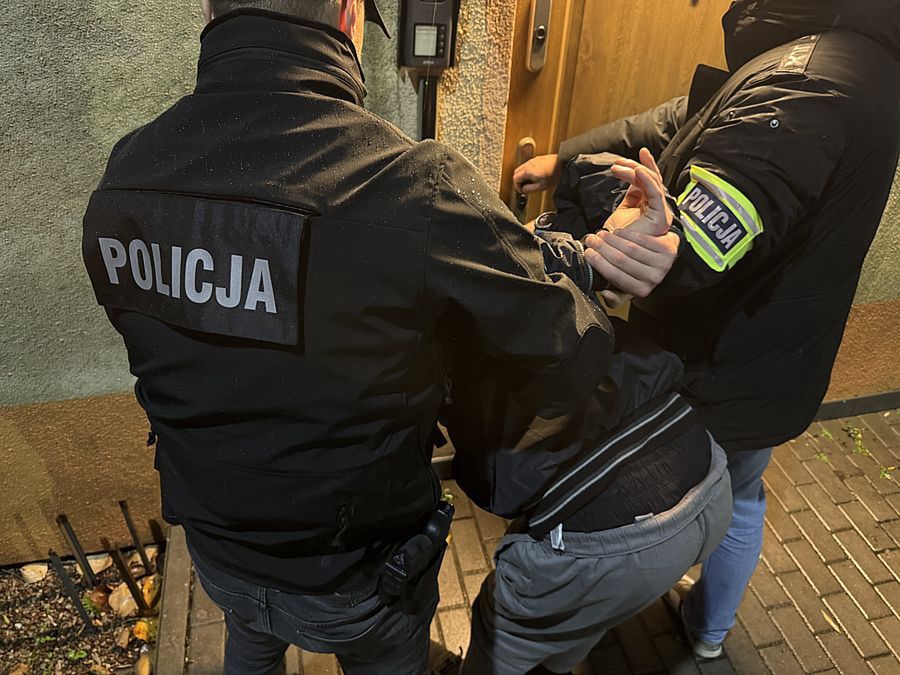 Pomorskie: Podejrzani o zabójstwo mężczyzny z walizki zatrzymani