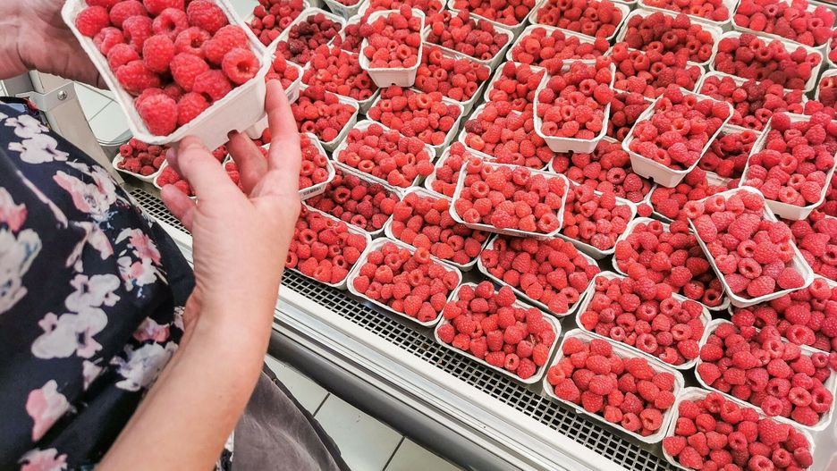 Producenci malin pod ścianą 