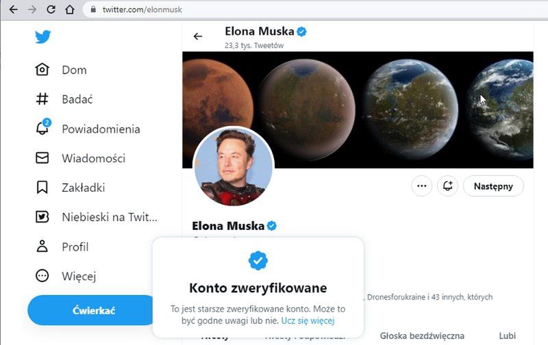 Twitter Elona Muska