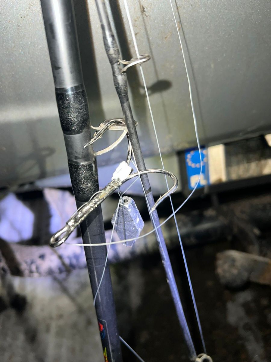 Nielegalny połów ryb 