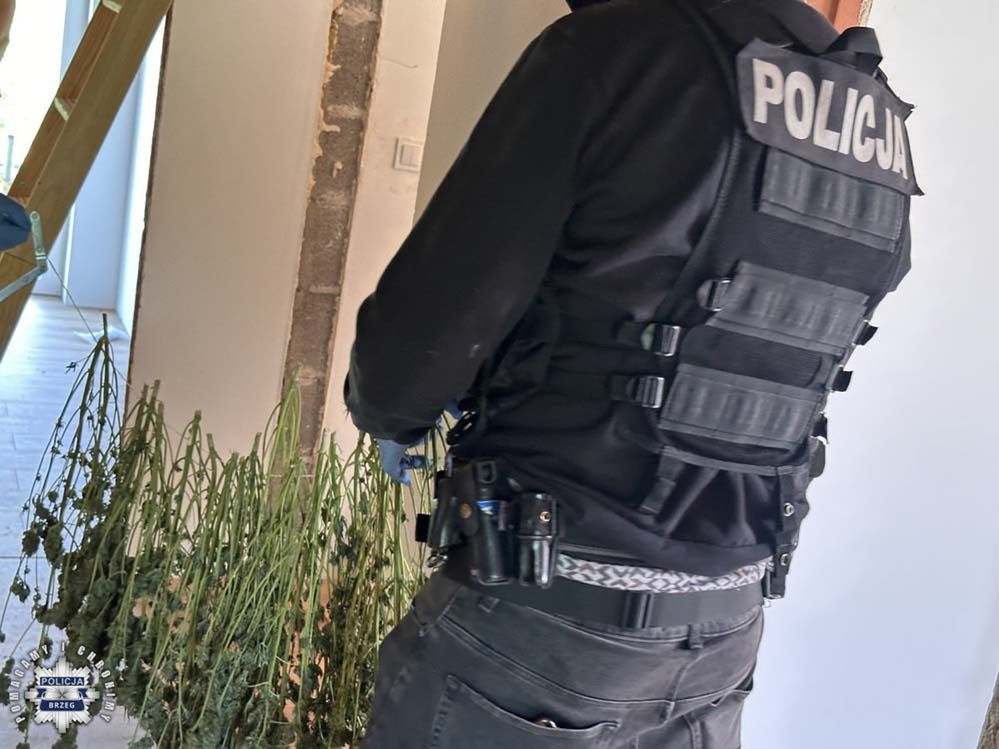 fot. opolska policja
