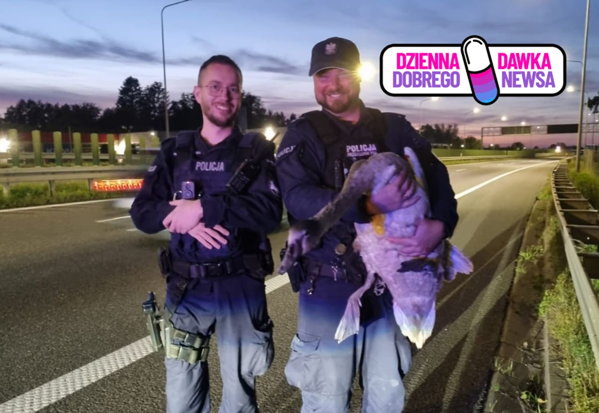 Auta go mijały. Bohaterska akcja policjantów uratowała życie