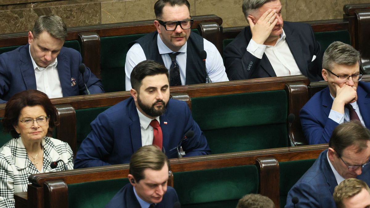 Dziennikarz ironicznie o sejmowej aktywności Mejzy. "Imponująca"