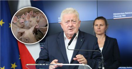Wirus wrócił w Niemczech. Polski rząd reaguje