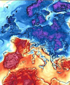 Prognozy są jednoznaczne. "Inwazja"