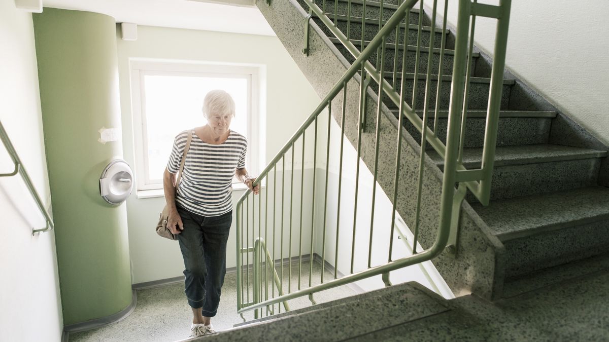 Senior woman walking on staircase in apartment building
Kentaroo Tryman
70-79 Years, Active Seniors, Casual clothing, Built Structure, day, one person, Europe, exterior, photography, front view, color image, window, walking, full length, Horizontal, indoors, lifestyle, apartment, back lit, striped, railing, motion, Scandinavia, sunlight, Sweden, Staircase, steps and staircases, moving up, bag, senior women, senior adult