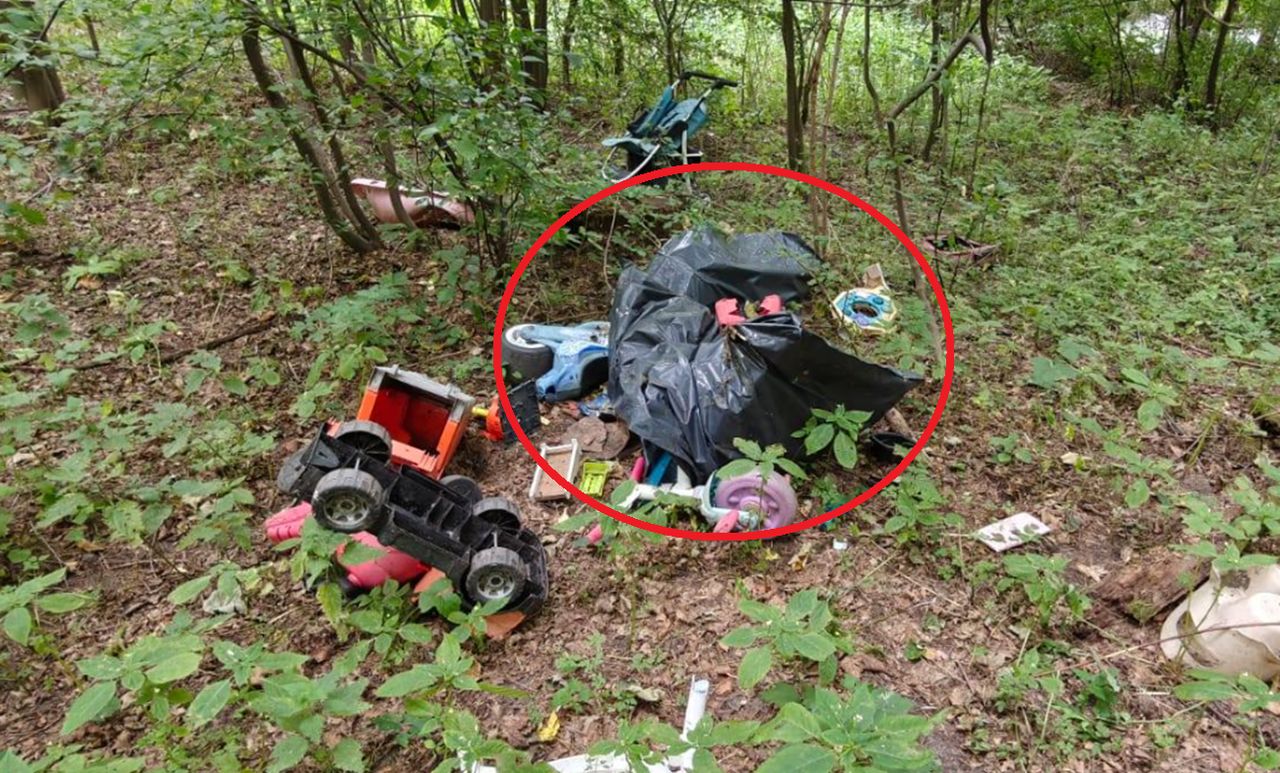 Koszmarne odkrycie w lesie. Znaleźli worek foliowy. "Buldog lub mops"