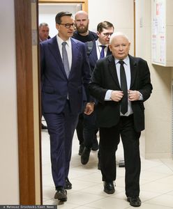 PiS na granicy. Poznaliśmy plany opozycji na ostatni dzień kampanii. "Odkopujemy się"