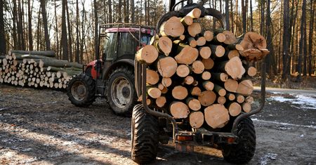 Problemy z opałem na zimę. Wrócili złodzieje drewna