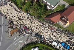 Ten widok przyciąga tłumy. Polacy zjeżdżają z całego kraju