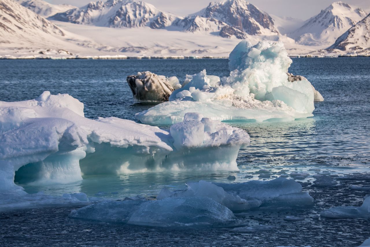 Octopus DNA signals dire warning: imminent collapse of Western Antarctic ice sheet