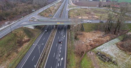 Droga śmierci w Kampinosie. Radary mają ocalić zwierzęta