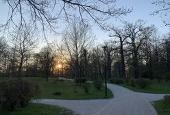 Pogoda. Wrocław. 29 kwietnia - ostatni tak ciepły dzień. Od piątku załamanie aury