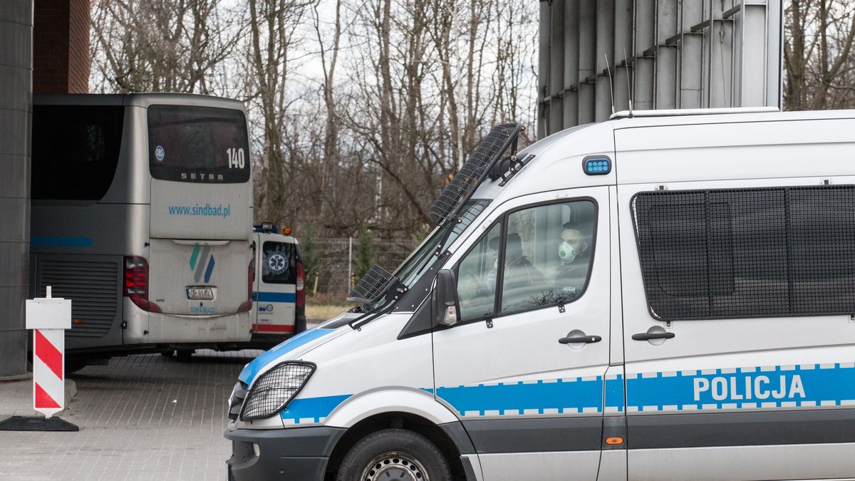 Sindbad przywraca kursy do Niemiec.