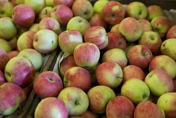Tak powinno się przechowywać jabłka i gruszki. Zimą nie stracą walorów