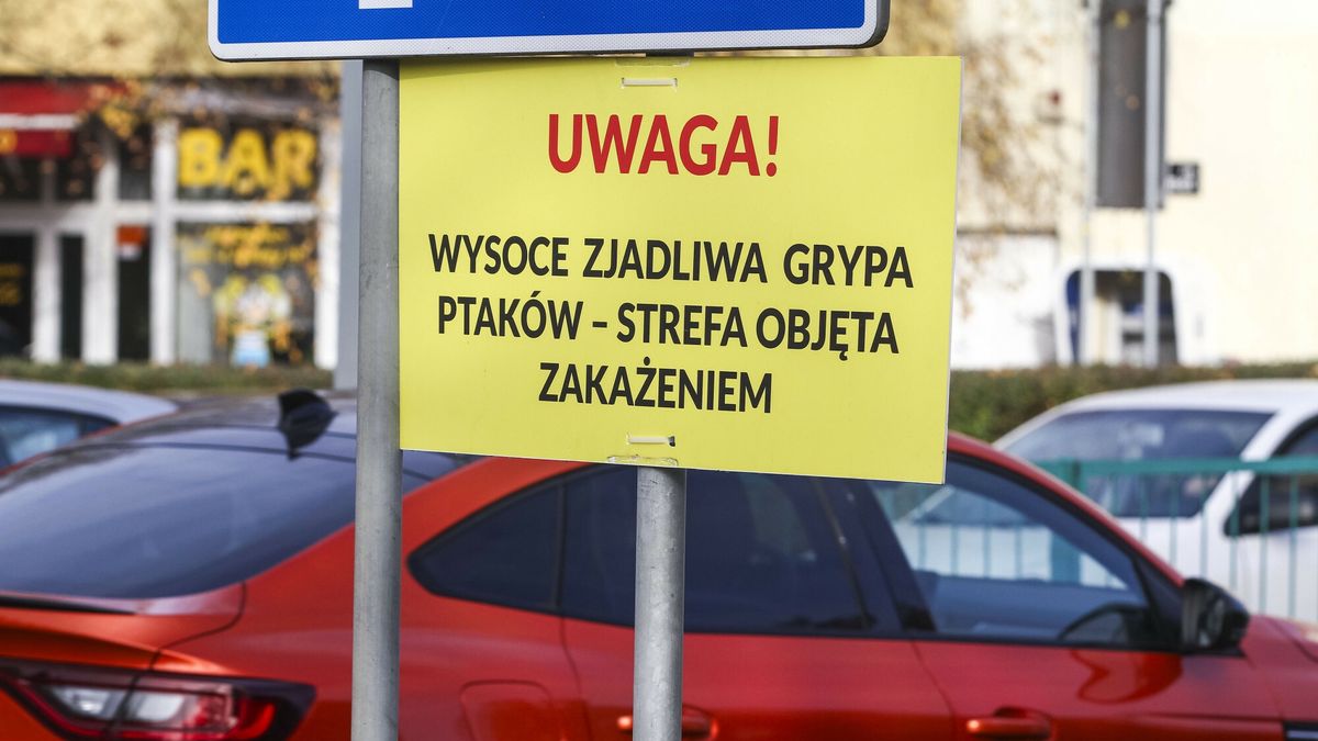 Zdjęcie ilustracyjne