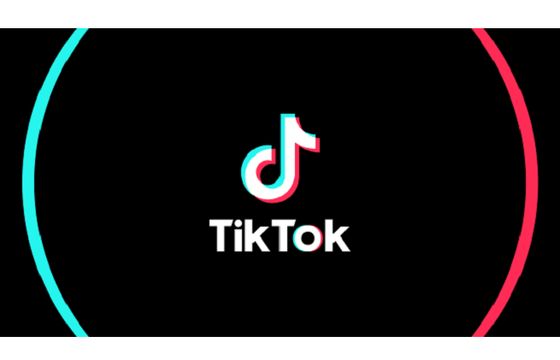 TikTok przed wyborami europejskimi zapowiada walkę z fake newsami
