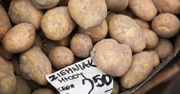 Prawda o pochodzeniu ziemniaków wyszła na jaw, naukowcy rozwikłali zagadkę