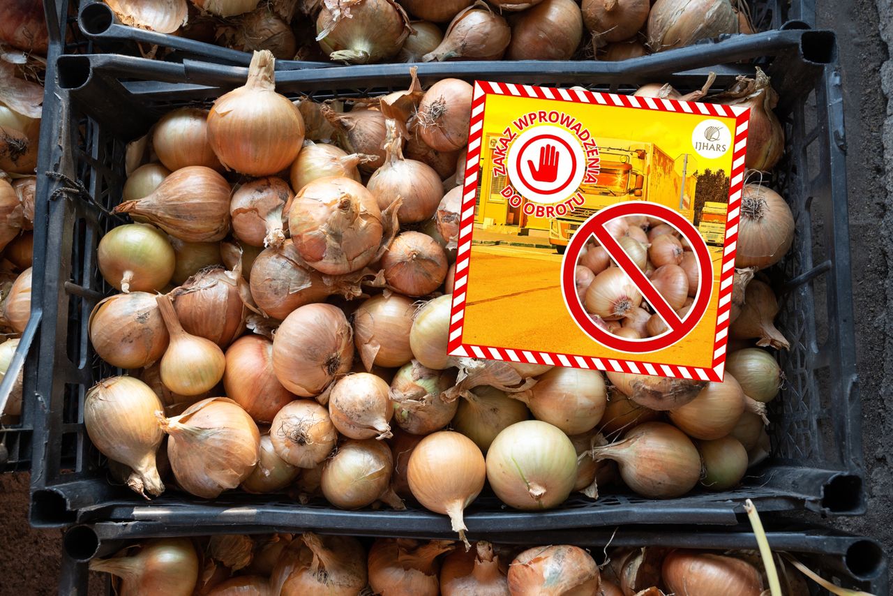 Cebula z Rosji jechała do Polski. Odrażające odkrycie służb